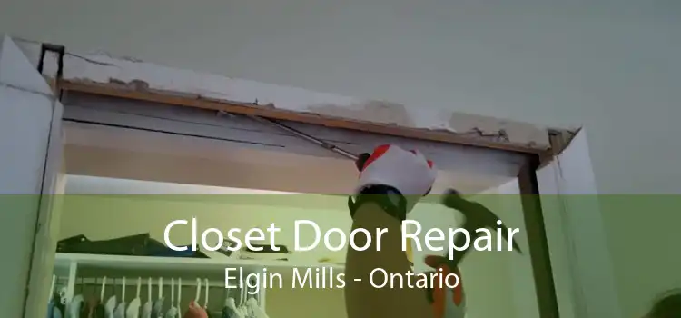 Closet Door Repair Elgin Mills - Ontario