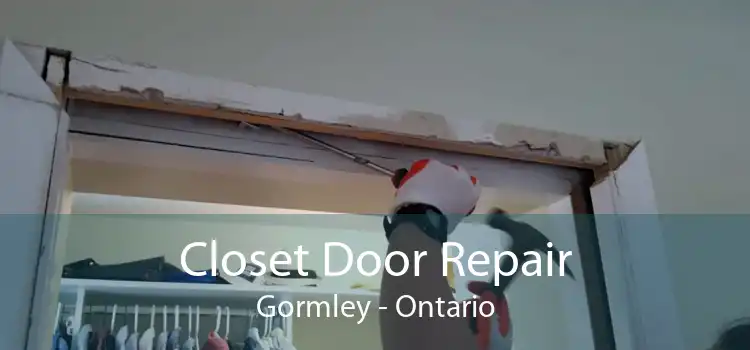 Closet Door Repair Gormley - Ontario