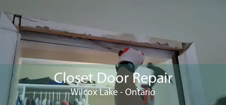 Closet Door Repair Wilcox Lake - Ontario