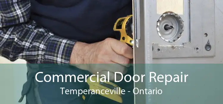Commercial Door Repair Temperanceville - Ontario