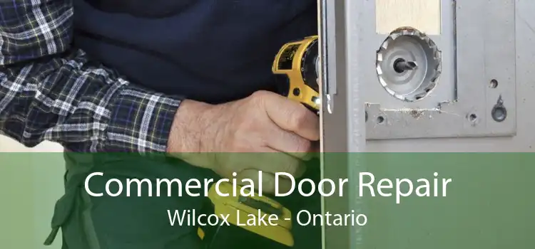 Commercial Door Repair Wilcox Lake - Ontario