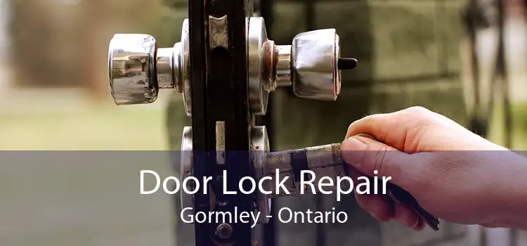 Door Lock Repair Gormley - Ontario