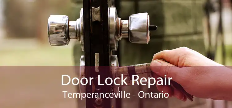 Door Lock Repair Temperanceville - Ontario