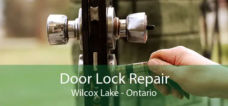 Door Lock Repair Wilcox Lake - Ontario