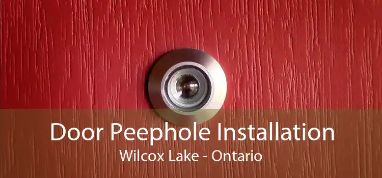 Door Peephole Installation Wilcox Lake - Ontario