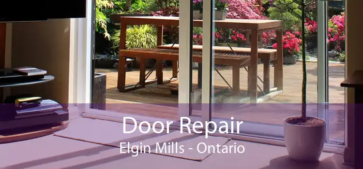 Door Repair Elgin Mills - Ontario