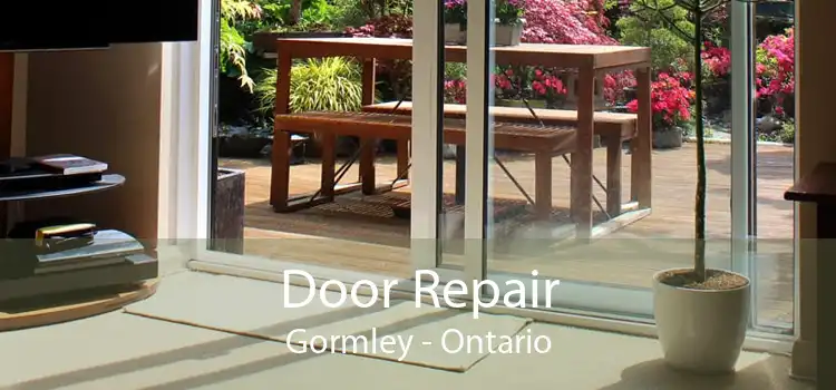 Door Repair Gormley - Ontario