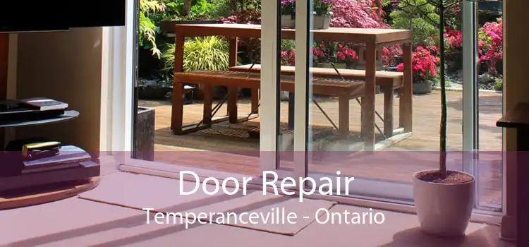 Door Repair Temperanceville - Ontario