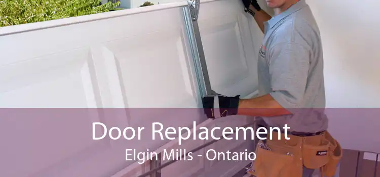 Door Replacement Elgin Mills - Ontario