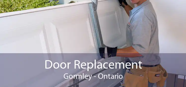 Door Replacement Gormley - Ontario