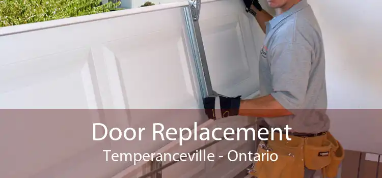 Door Replacement Temperanceville - Ontario