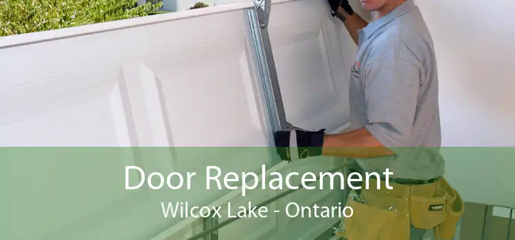 Door Replacement Wilcox Lake - Ontario