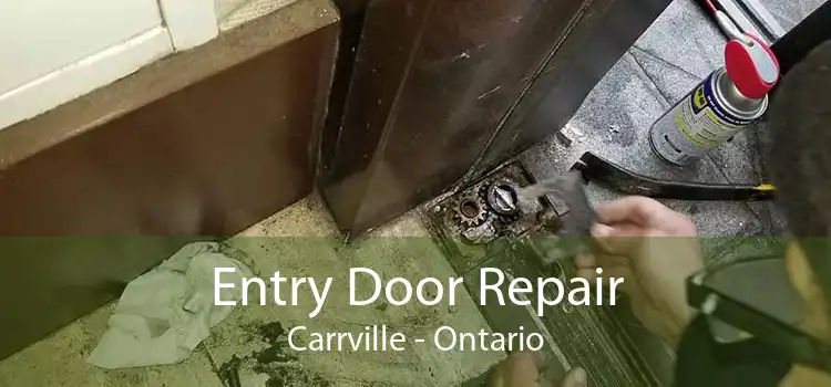 Entry Door Repair Carrville - Ontario