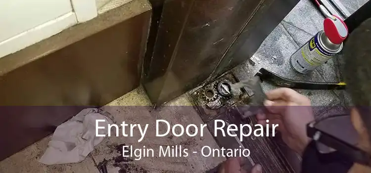 Entry Door Repair Elgin Mills - Ontario
