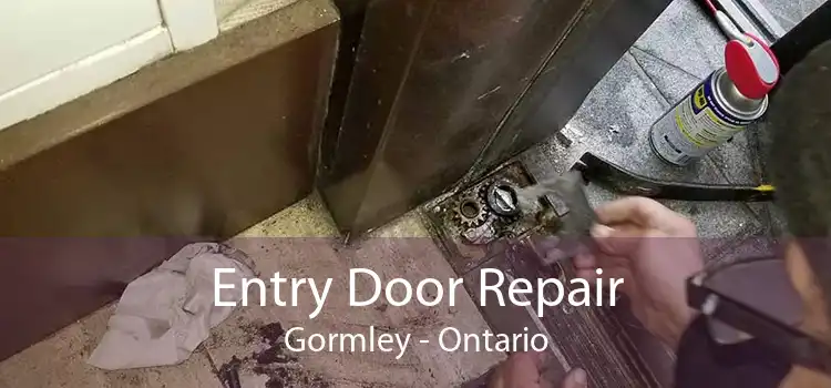 Entry Door Repair Gormley - Ontario