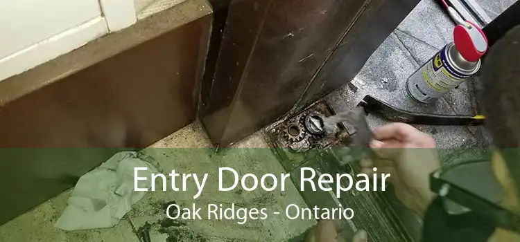 Entry Door Repair Oak Ridges - Ontario