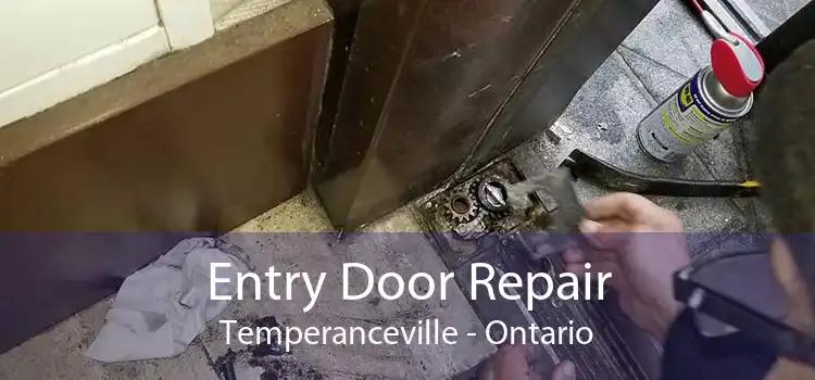 Entry Door Repair Temperanceville - Ontario