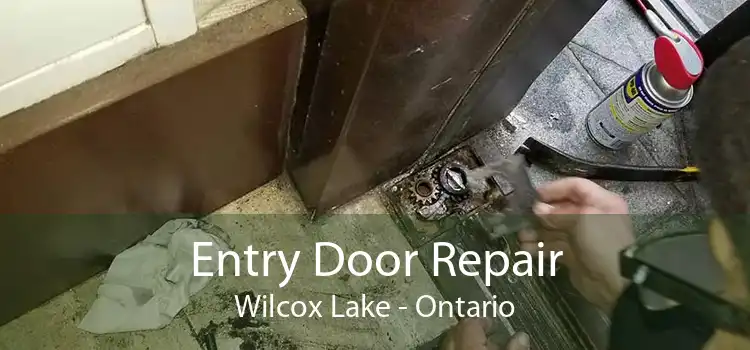 Entry Door Repair Wilcox Lake - Ontario