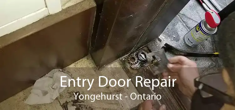 Entry Door Repair Yongehurst - Ontario