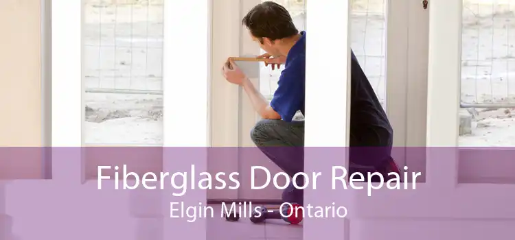 Fiberglass Door Repair Elgin Mills - Ontario