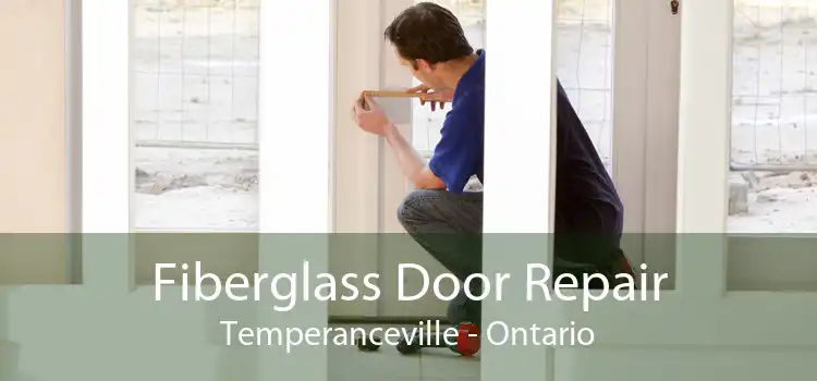Fiberglass Door Repair Temperanceville - Ontario
