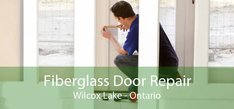 Fiberglass Door Repair Wilcox Lake - Ontario