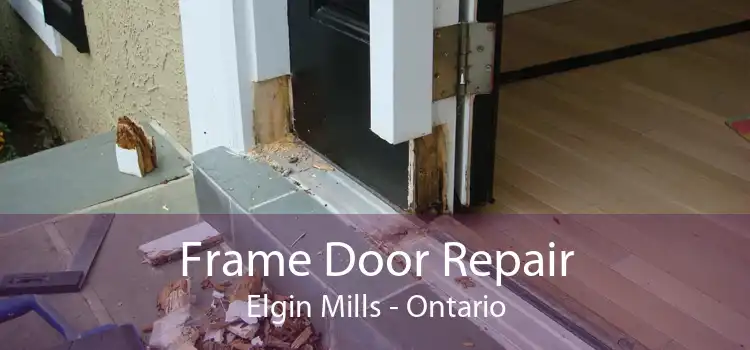 Frame Door Repair Elgin Mills - Ontario