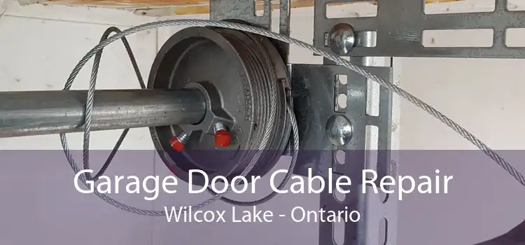 Garage Door Cable Repair Wilcox Lake - Ontario