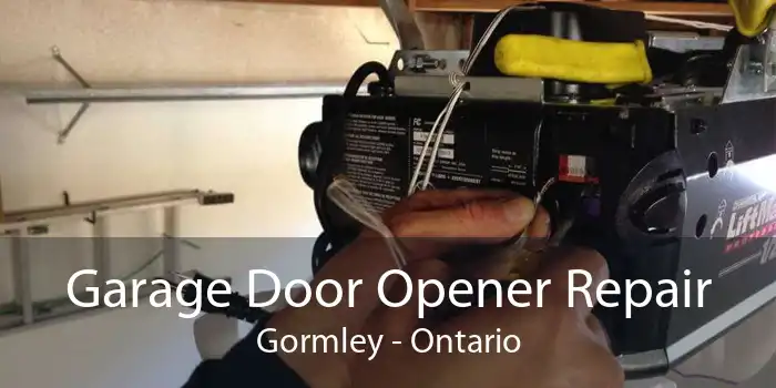 Garage Door Opener Repair Gormley - Ontario