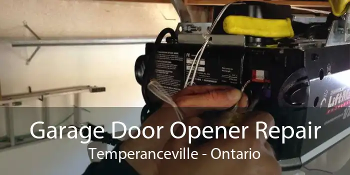 Garage Door Opener Repair Temperanceville - Ontario