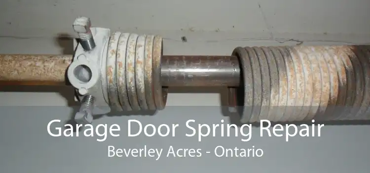 Garage Door Spring Repair Beverley Acres - Ontario