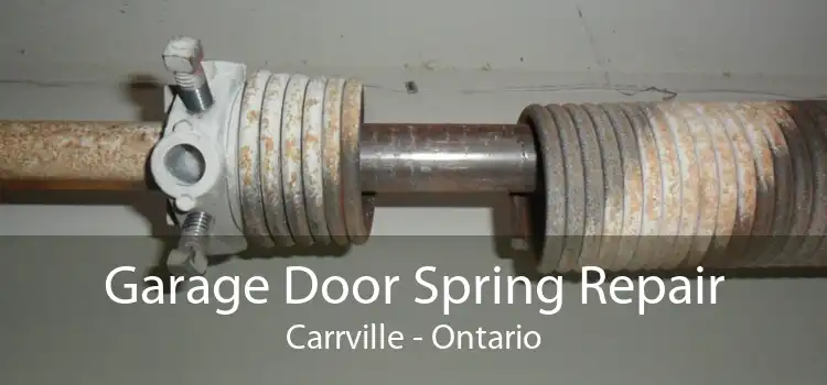 Garage Door Spring Repair Carrville - Ontario