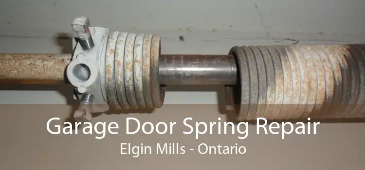 Garage Door Spring Repair Elgin Mills - Ontario