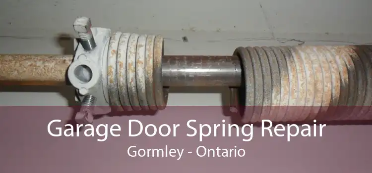 Garage Door Spring Repair Gormley - Ontario
