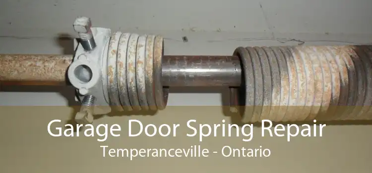 Garage Door Spring Repair Temperanceville - Ontario