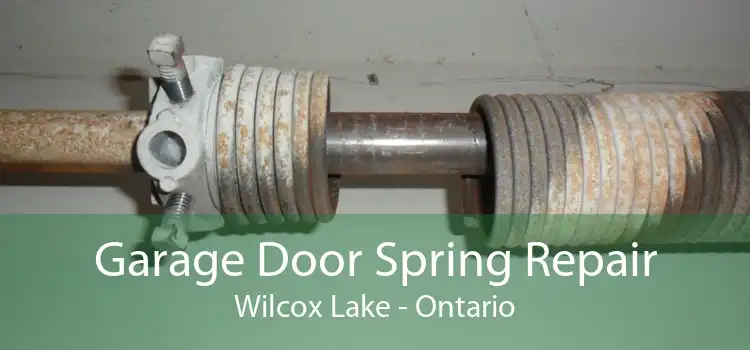 Garage Door Spring Repair Wilcox Lake - Ontario