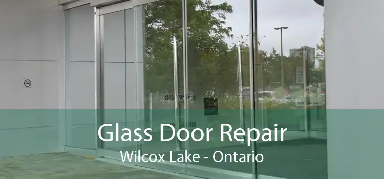 Glass Door Repair Wilcox Lake - Ontario