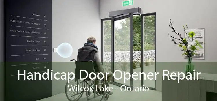 Handicap Door Opener Repair Wilcox Lake - Ontario