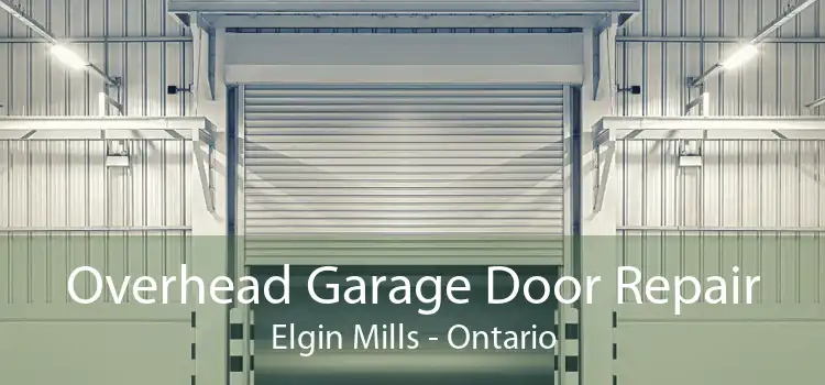 Overhead Garage Door Repair Elgin Mills - Ontario