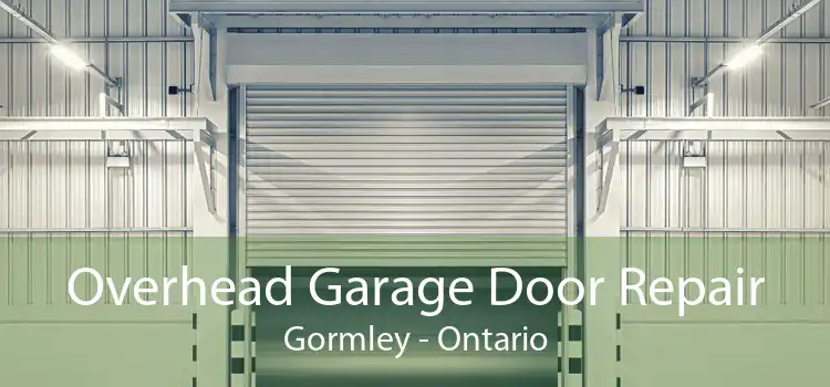 Overhead Garage Door Repair Gormley - Ontario