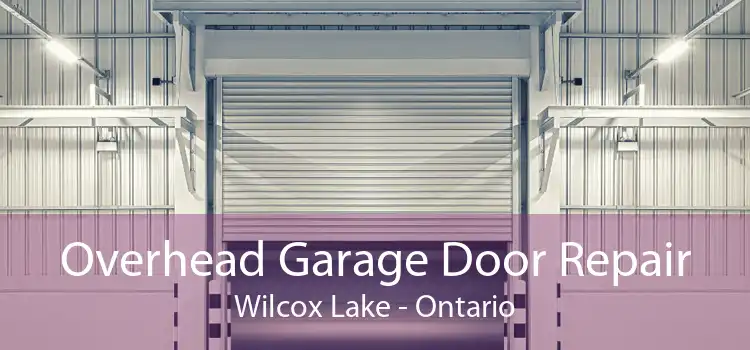 Overhead Garage Door Repair Wilcox Lake - Ontario