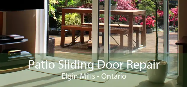 Patio Sliding Door Repair Elgin Mills - Ontario