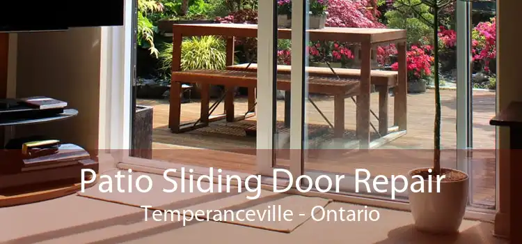 Patio Sliding Door Repair Temperanceville - Ontario