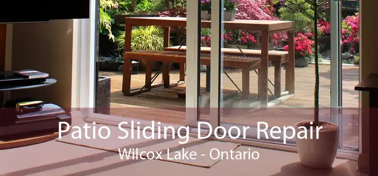 Patio Sliding Door Repair Wilcox Lake - Ontario