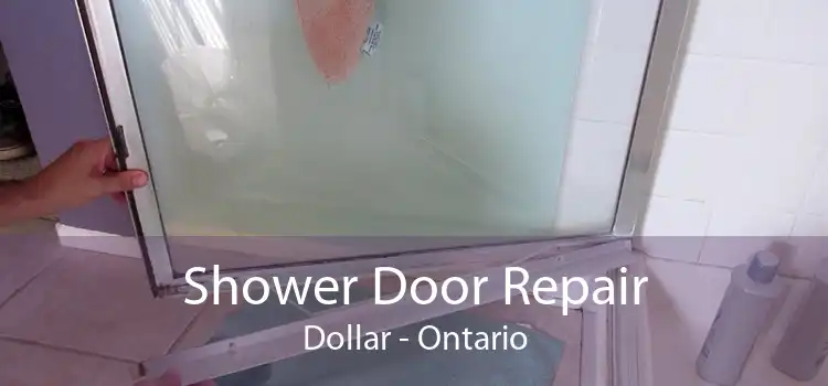 Shower Door Repair Dollar - Ontario