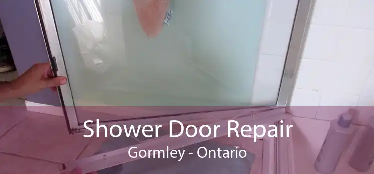 Shower Door Repair Gormley - Ontario