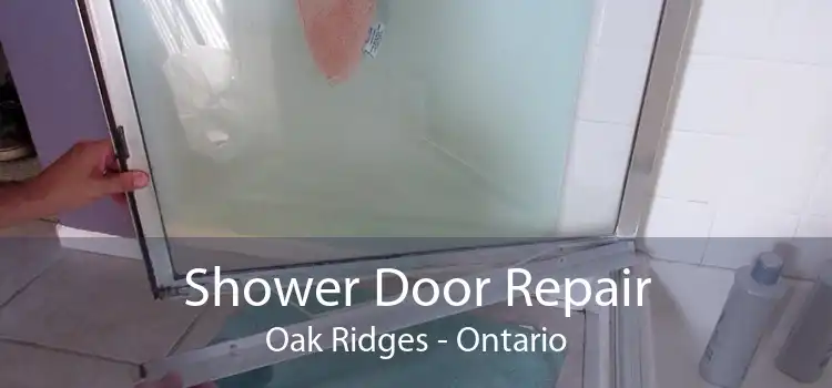Shower Door Repair Oak Ridges - Ontario