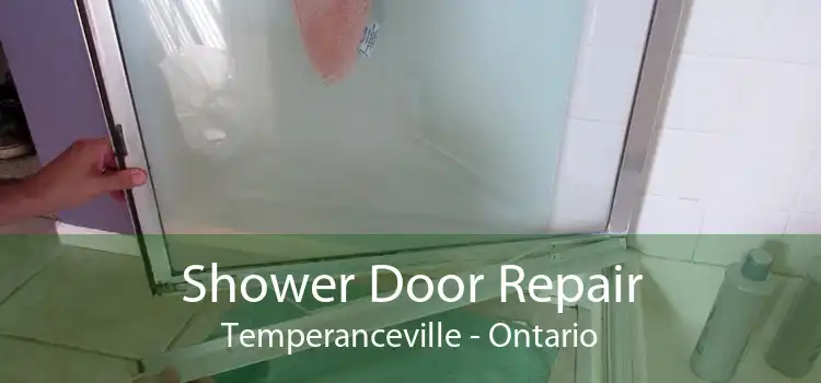 Shower Door Repair Temperanceville - Ontario