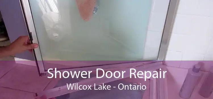 Shower Door Repair Wilcox Lake - Ontario