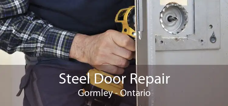 Steel Door Repair Gormley - Ontario